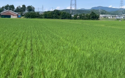 日本一の米どころ『新潟』へ