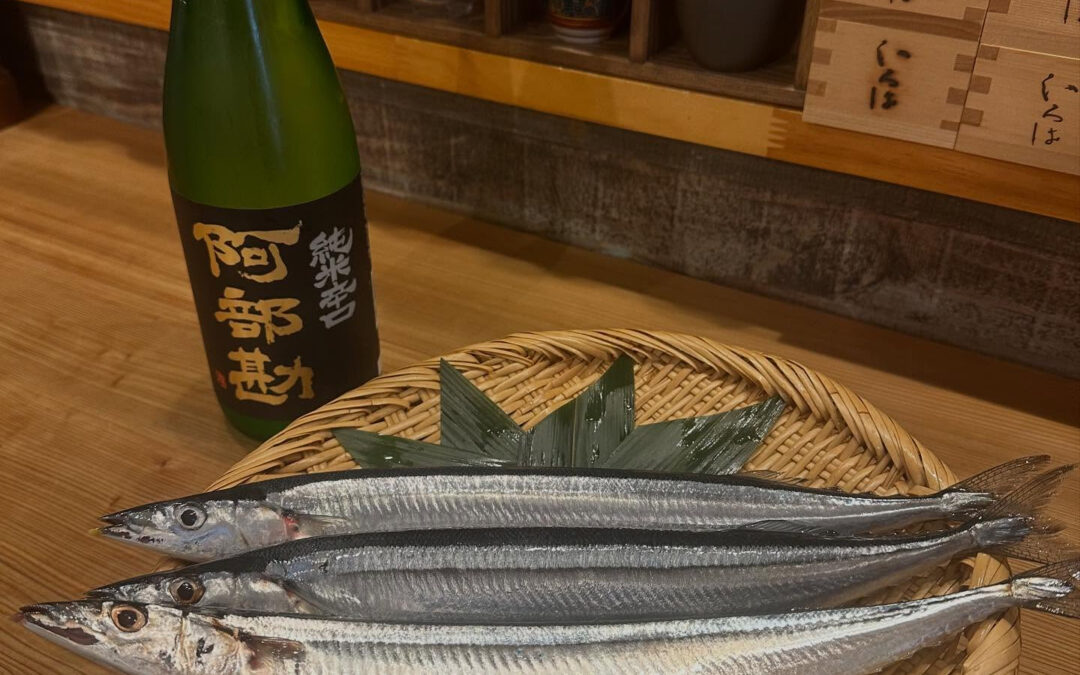 ✨本日のおすすめ✨