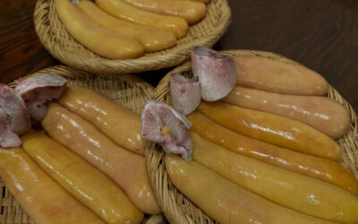 カラスミ作り始めました