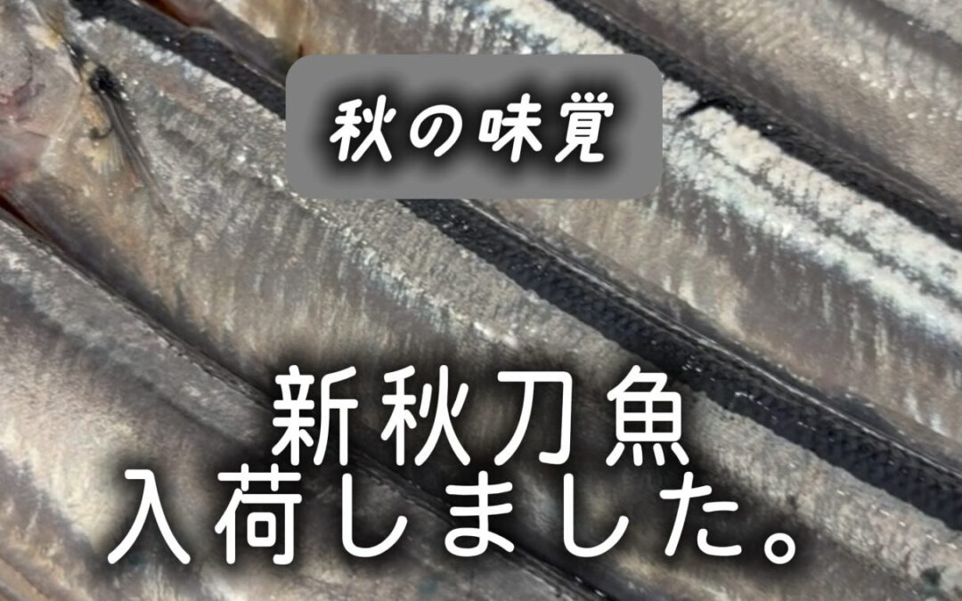 お盆も過ぎ、少しずつ秋の気配を感じる頃となりましたね