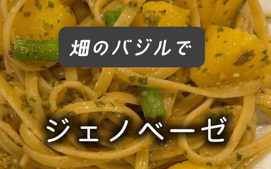 畑のバジルの色が落ちてきたのでジェノベーゼソースを作りました