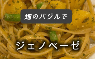 畑のバジルの色が落ちてきたのでジェノベーゼソースを作りました